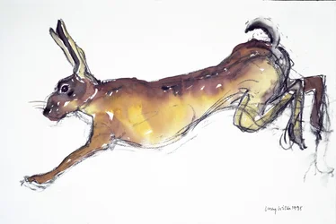 Jumping Hare